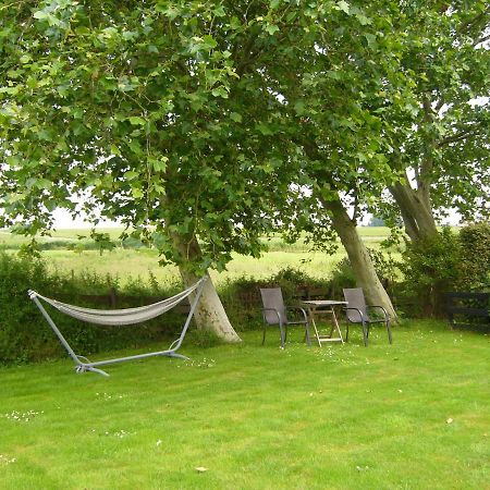 De Stjelp Pleats Bed & Breakfast Lemmer Bagian luar foto